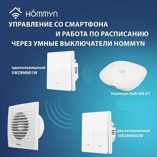 Вентилятор вытяжной Ballu BAF-FW 100 N с антимоскитной сеткой