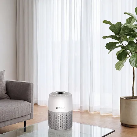 Очиститель воздуха Electrolux EAP-1010D