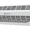 Электрическая завеса HEATGUARD RAH-HG0.6E3M ROYAL CLIMA