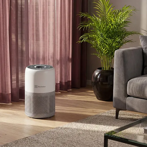 Очиститель воздуха Electrolux EAP-1010D