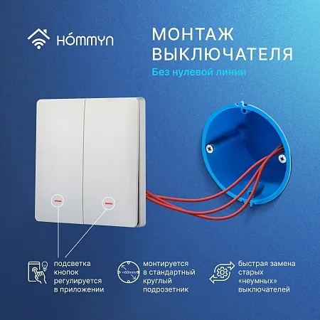 Комплект два умных двухклавишных выключателя HOMMYN 2SWZBNN02W