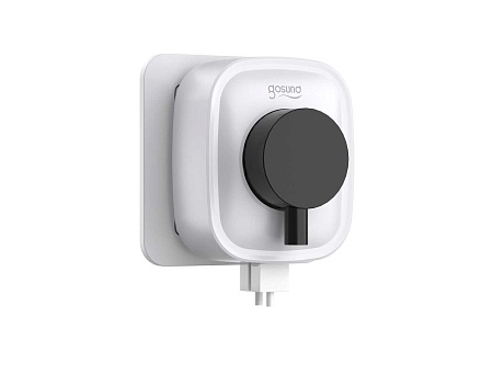 Умная розетка Gosund Smart plug 2 USB outlet, total 2.1A,  белая