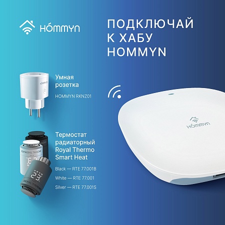 Розетка умная HOMMYN Smart Plug RKNZ01