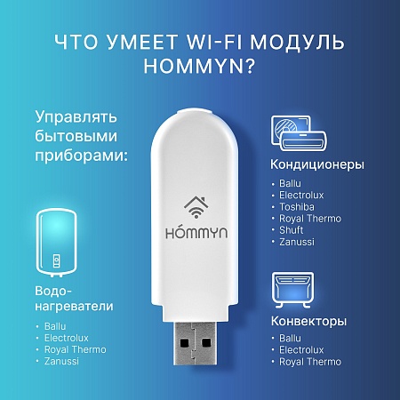 Модуль съемный управляющий HOMMYN HDN/WFN-02-01